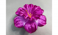 6/28